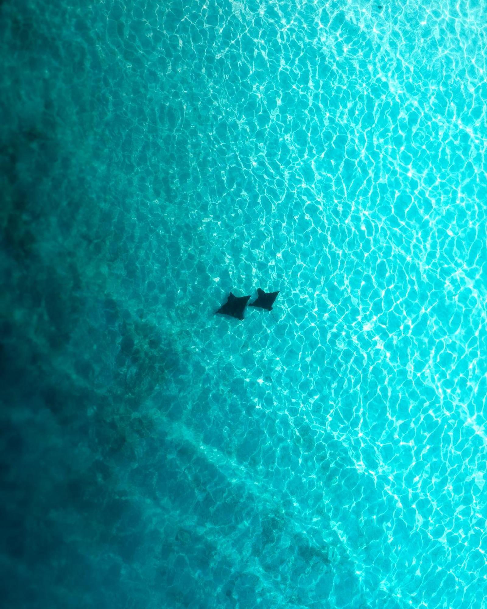 Ocean Pearl Maldives At Gulhi Island Hotel Buitenkant foto